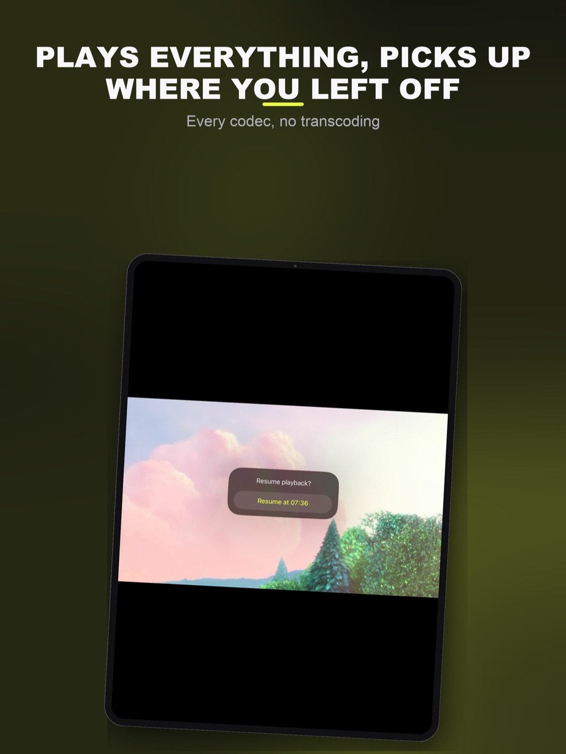 Lightning Player auf dem iPad