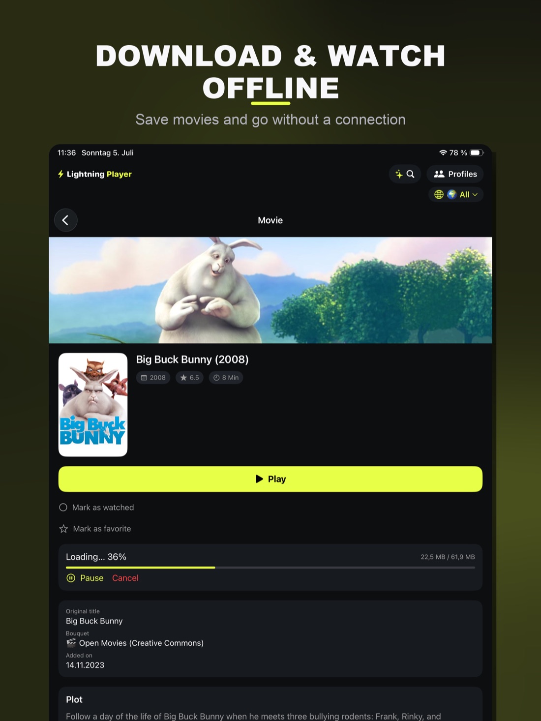Lightning Player auf dem iPad